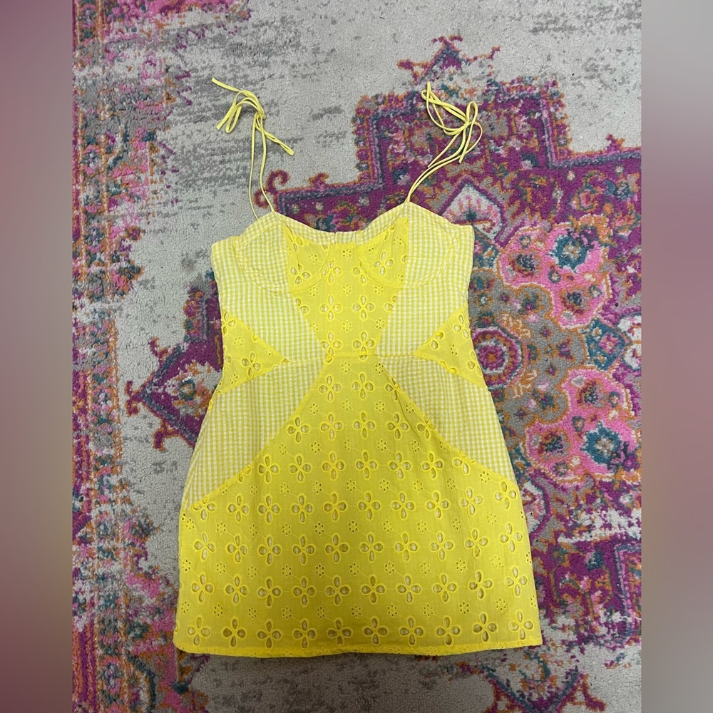 For Love and Lemons Picnic Dress